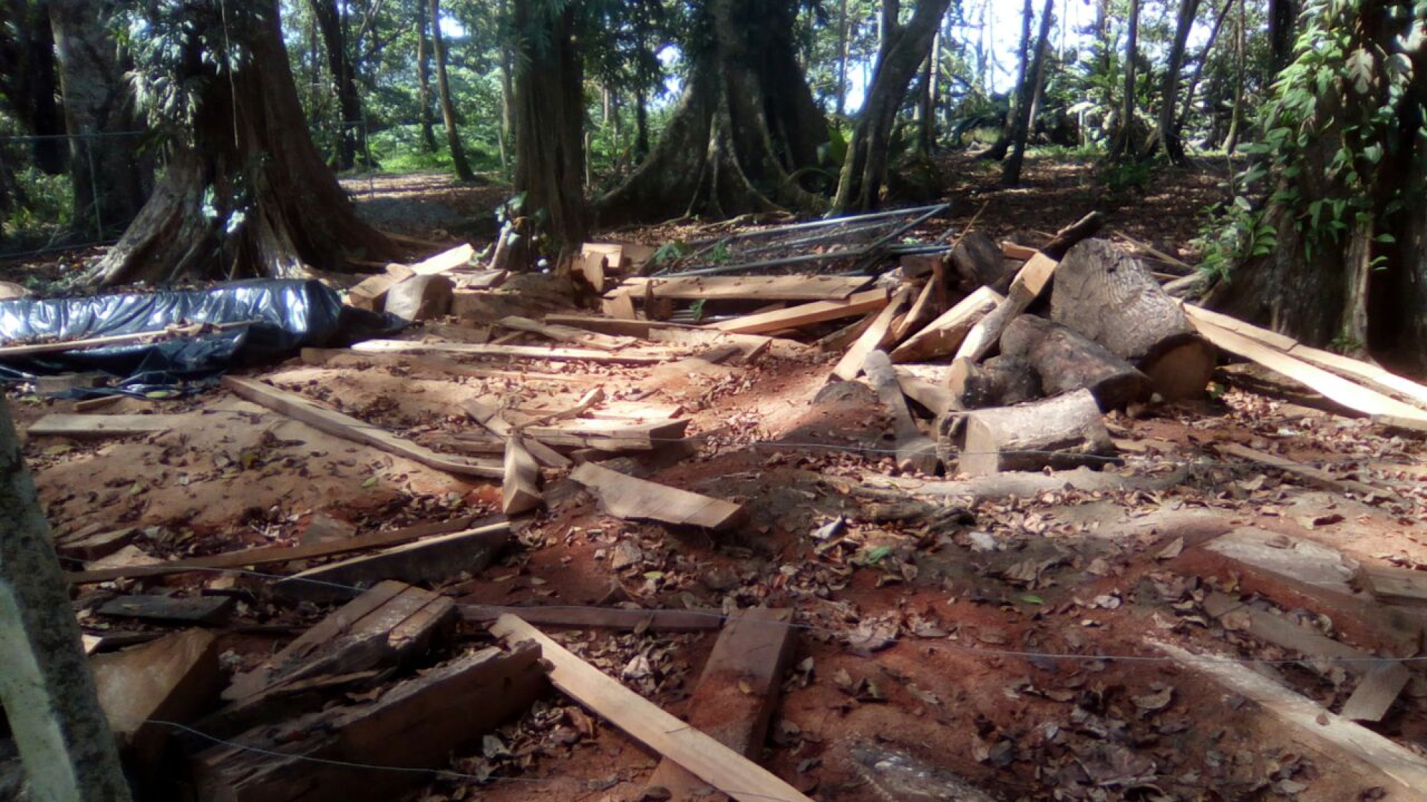 WhatsApp Image 2025-09-14 at 2.03.51 PM (2)