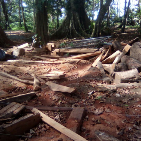 WhatsApp Image 2025-09-14 at 2.03.51 PM (2)