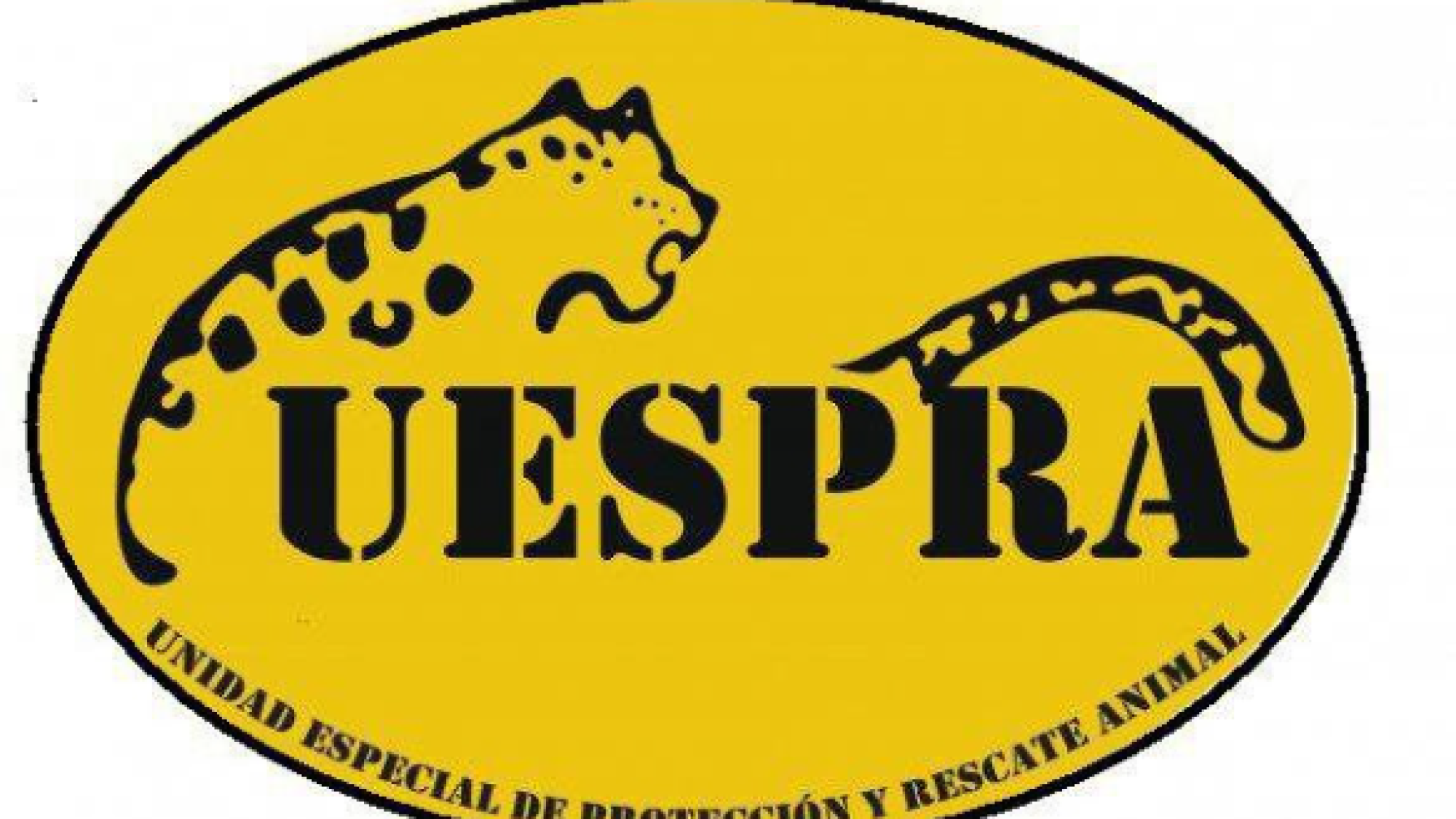 Captura de pantalla 2025-10-22 182056