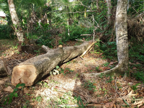 WhatsApp Image 2025-10-22 at 2.54.09 PM (1)