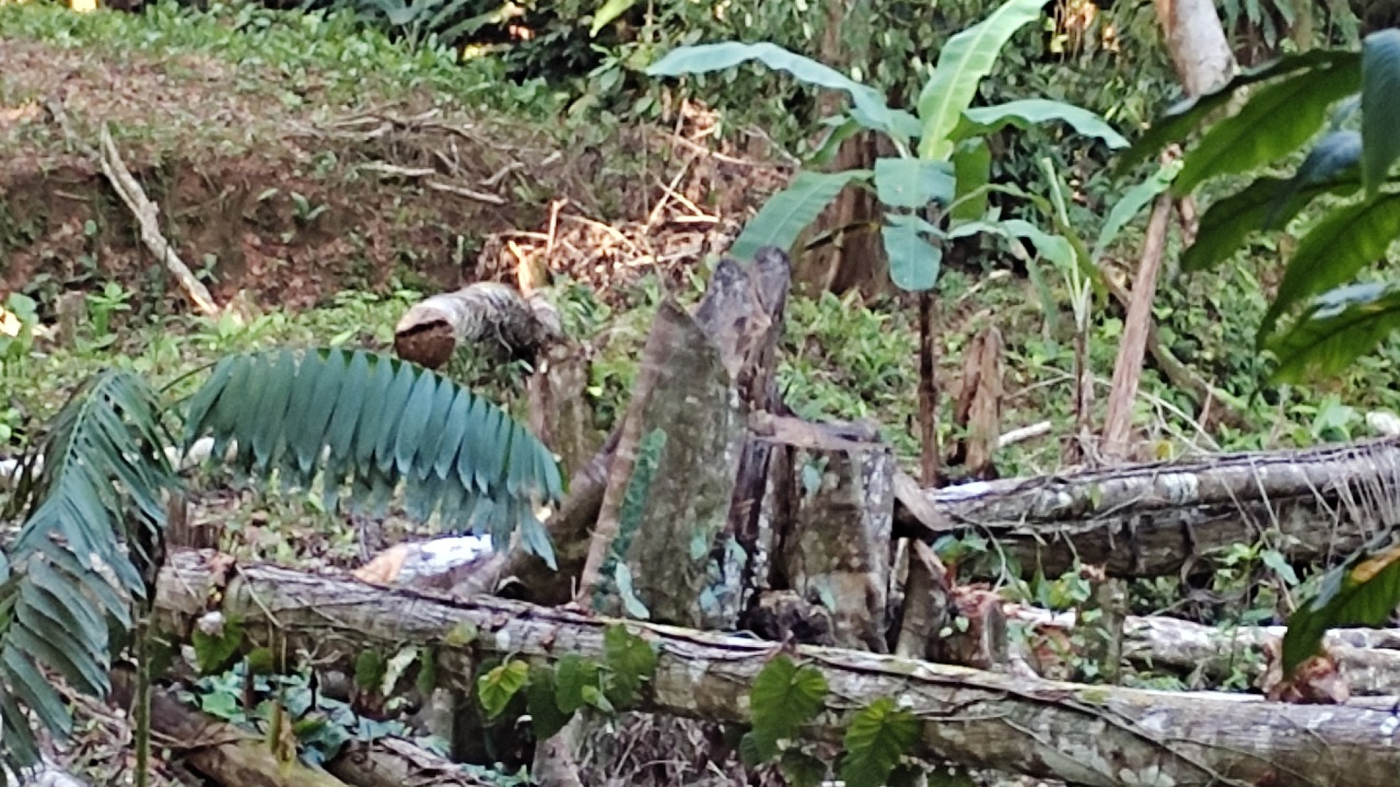 WhatsApp Image 2025-11-05 at 1.26.46 PM