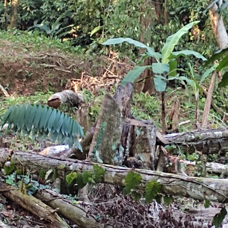 WhatsApp Image 2025-11-05 at 1.26.46 PM