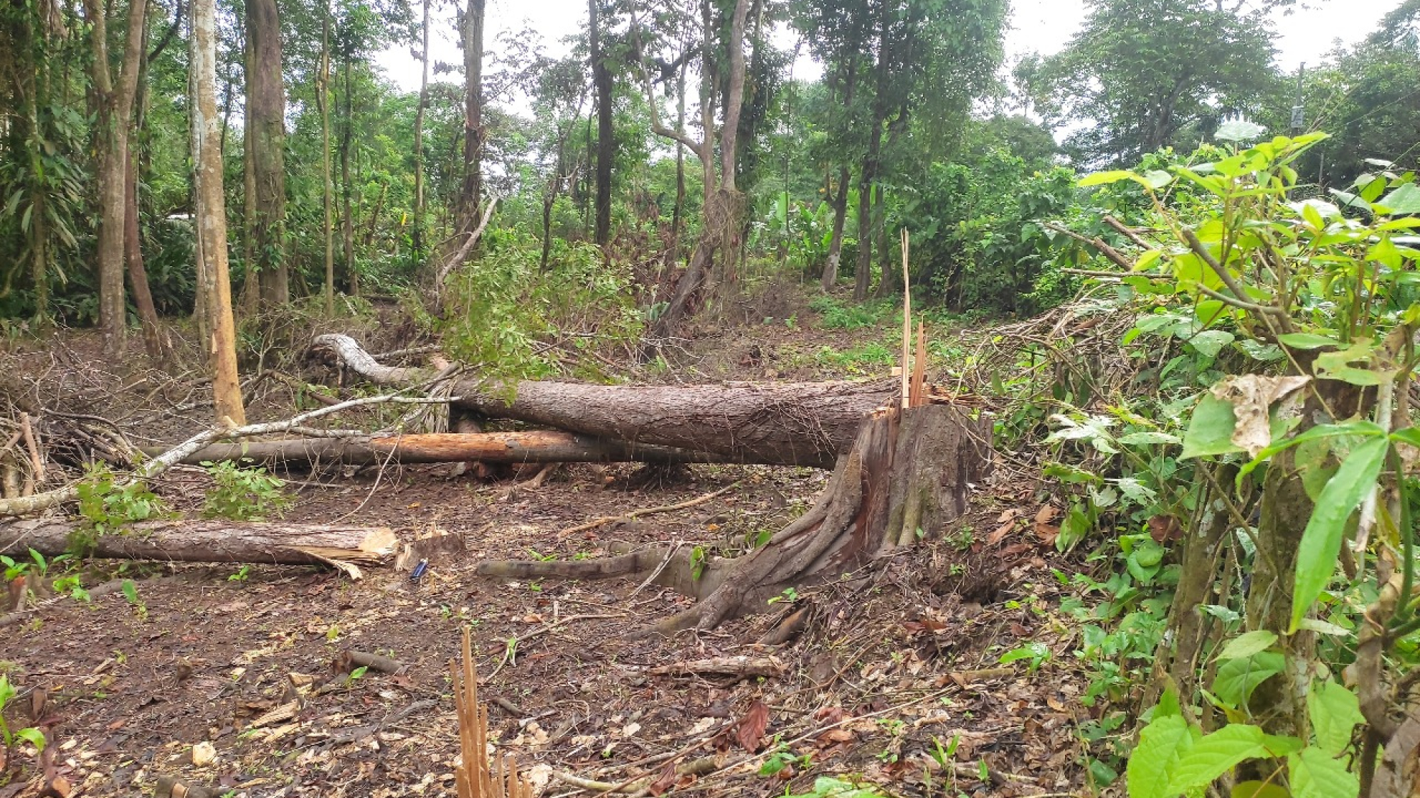 WhatsApp Image 2025-11-05 at 1.33.21 PM (1)