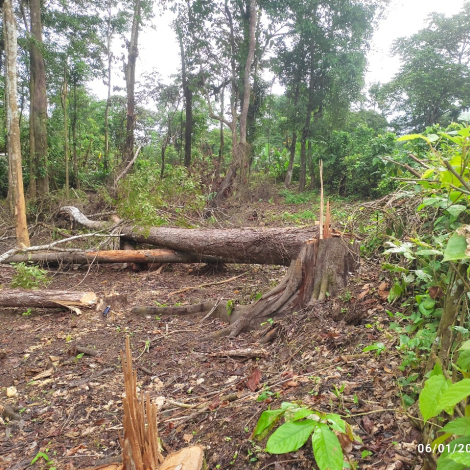 WhatsApp Image 2025-11-05 at 1.33.21 PM (1)