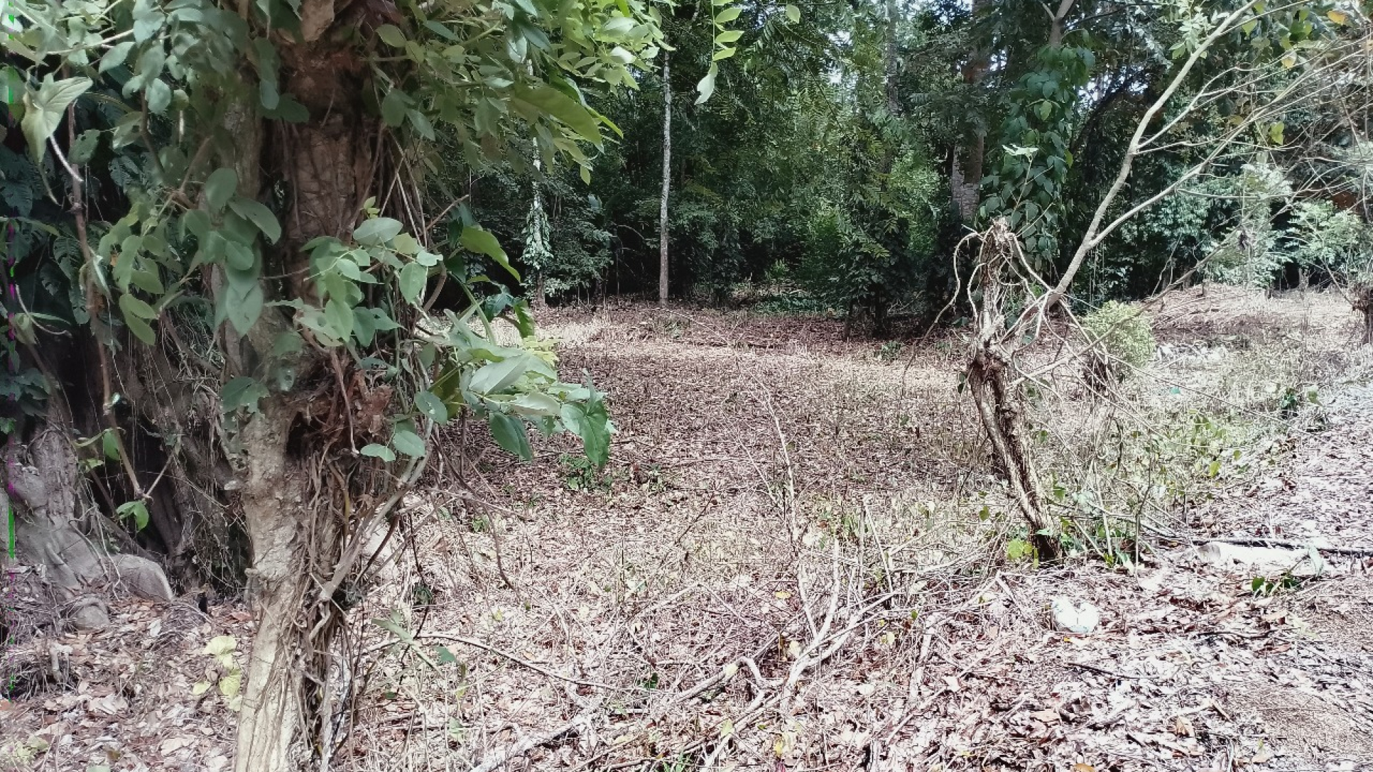 WhatsApp Image 2025-11-13 at 3.33.24 PM (3)