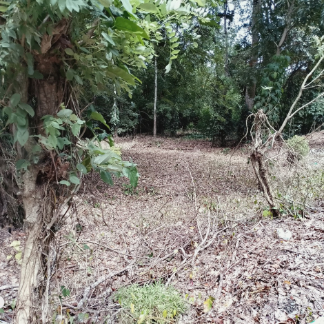 WhatsApp Image 2025-11-13 at 3.33.24 PM (3)