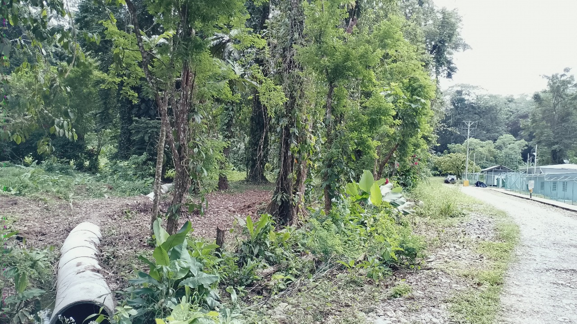 WhatsApp Image 2025-11-21 at 3.06.32 PM (2)