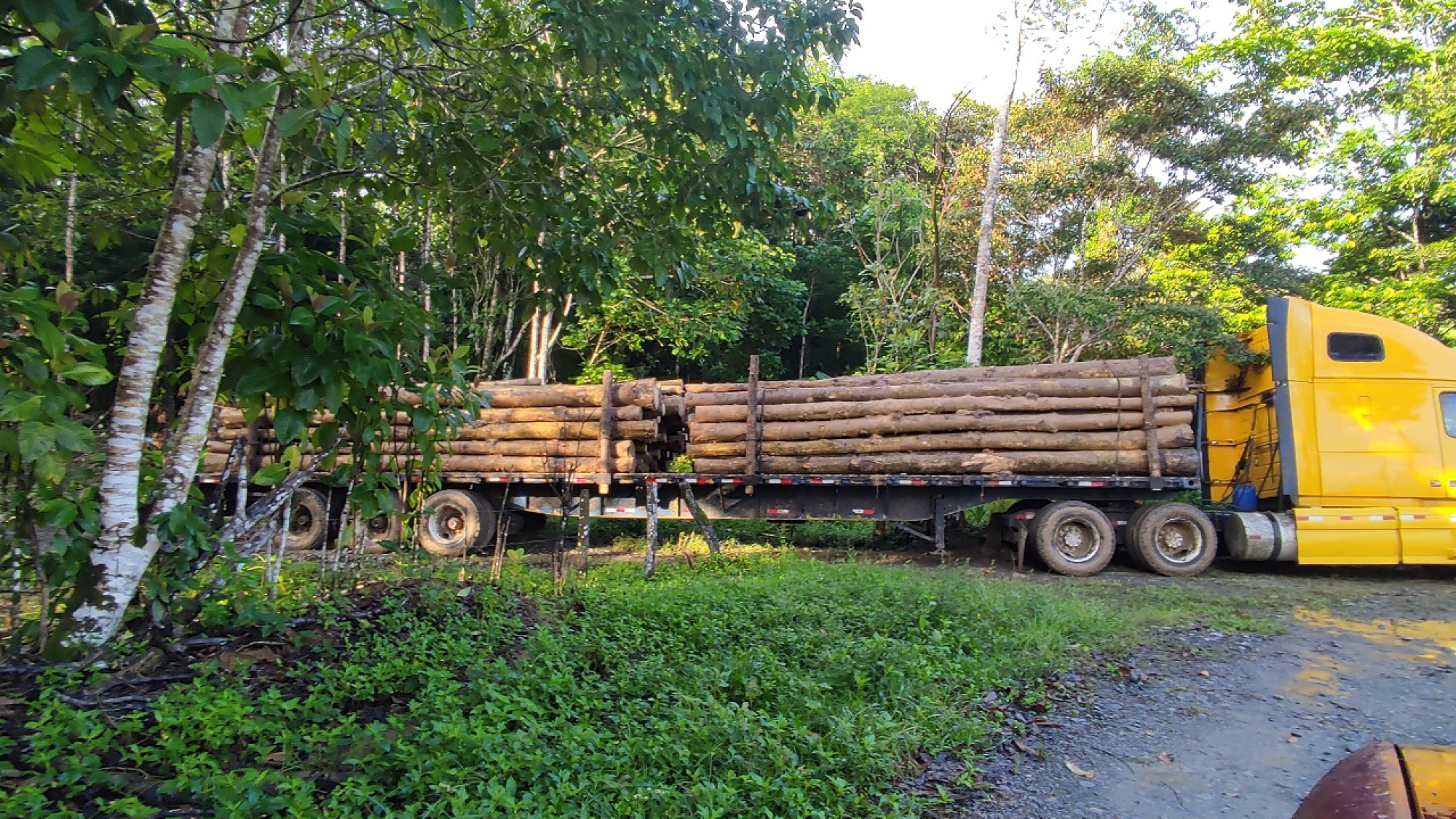 WhatsApp Image 2025-11-28 at 1.05.38 PM (2)