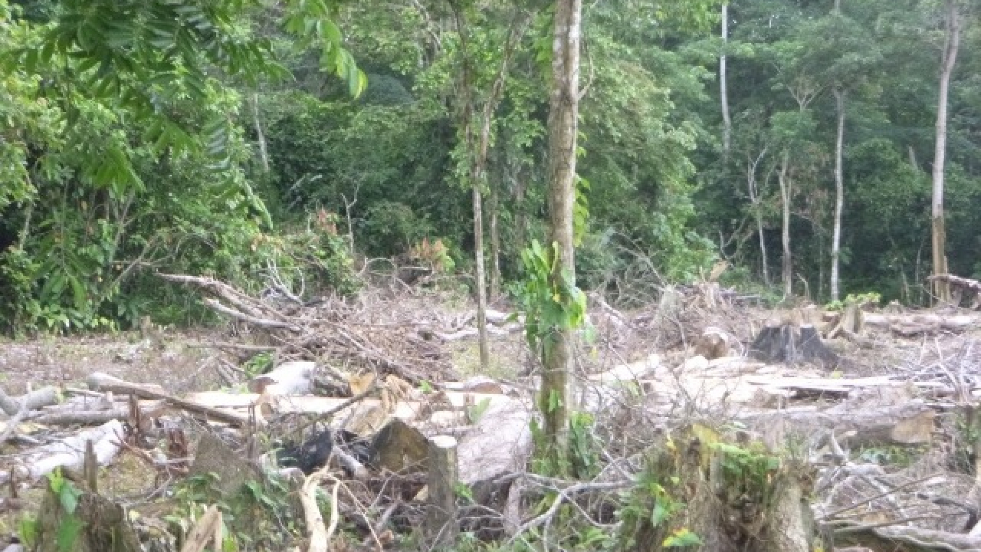 WhatsApp Image 2025-11-30 at 12.59.29 PM