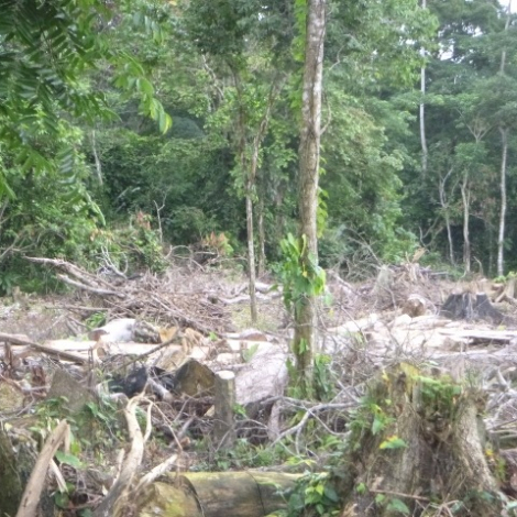 WhatsApp Image 2025-11-30 at 12.59.29 PM