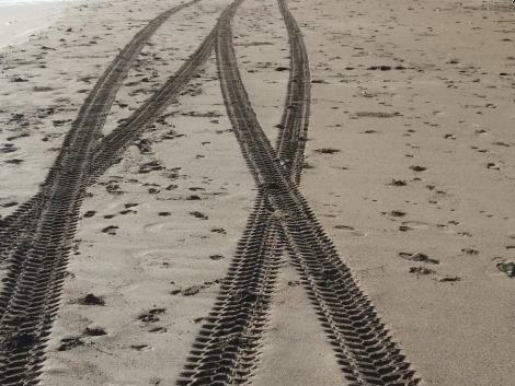 WhatsApp Image 2025-12-09 at 1.35.01 PM (1)