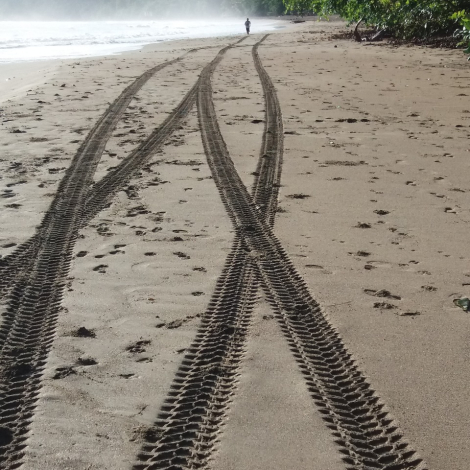 WhatsApp Image 2025-12-09 at 1.35.01 PM (1)